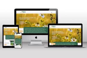Website coach