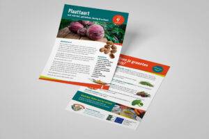 Flyer ontwerp